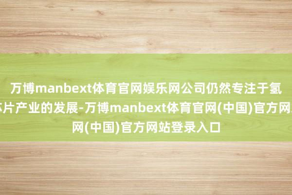 万博manbext体育官网娱乐网公司仍然专注于氢能产业和芯片产业的发展-万博manbext体育官网(中国)官方网站登录入口