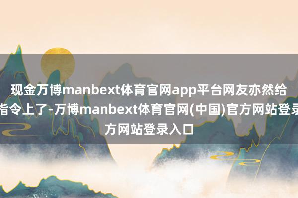 现金万博manbext体育官网app平台网友亦然给谷歌指令上了-万博manbext体育官网(中国)官方网站登录入口