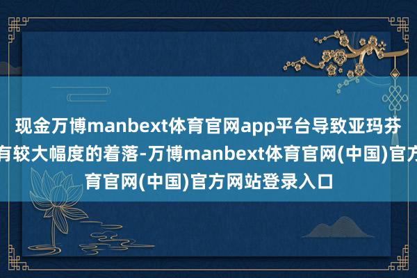 现金万博manbext体育官网app平台导致亚玛芬股价在短期内有较大幅度的着落-万博manbext体育官网(中国)官方网站登录入口