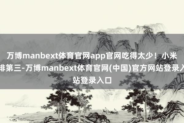 万博manbext体育官网app官网吃得太少！小米只排第三-万博manbext体育官网(中国)官方网站登录入口