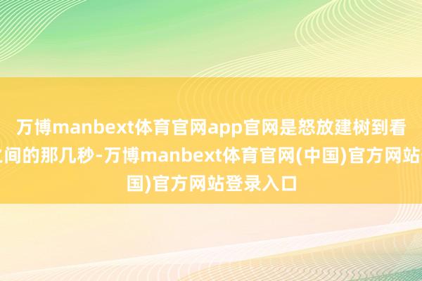 万博manbext体育官网app官网是怒放建树到看到试验之间的那几秒-万博manbext体育官网(中国)官方网站登录入口