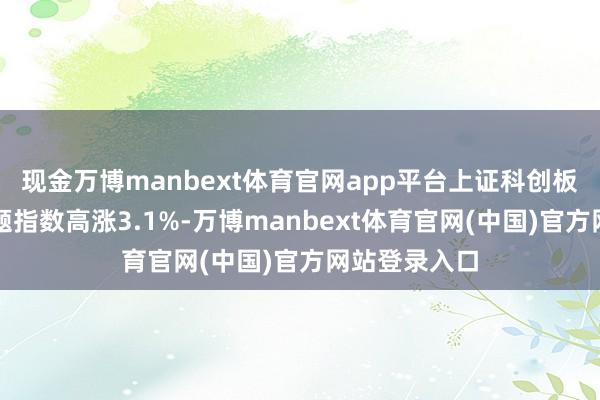 现金万博manbext体育官网app平台上证科创板芯片预备主题指数高涨3.1%-万博manbext体育官网(中国)官方网站登录入口