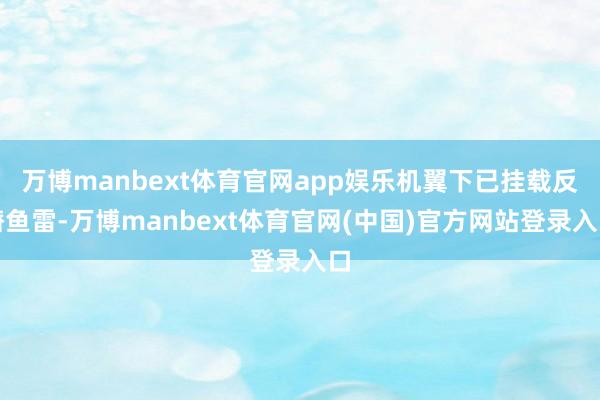 万博manbext体育官网app娱乐机翼下已挂载反潜鱼雷-万博manbext体育官网(中国)官方网站登录入口